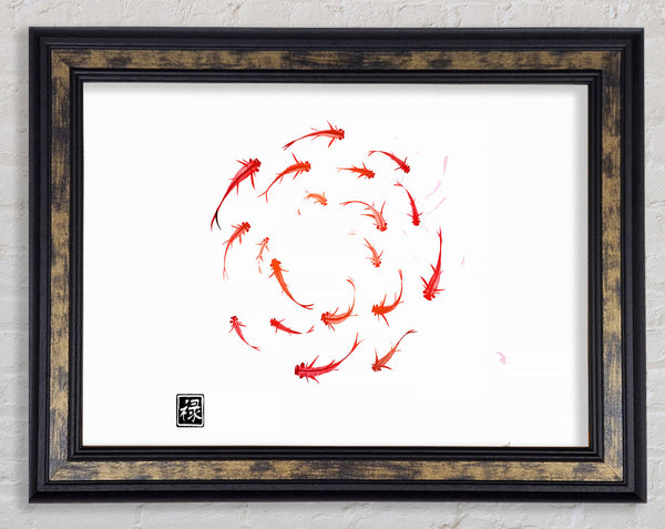Koi Fish In The Circle Of Life