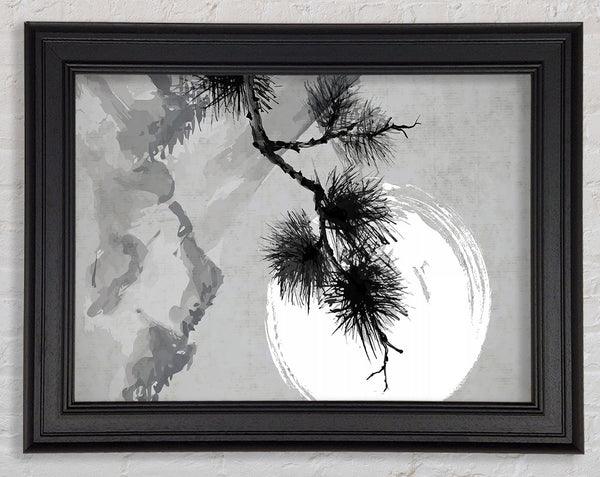 Japanese Tree In The Sun Framed Print