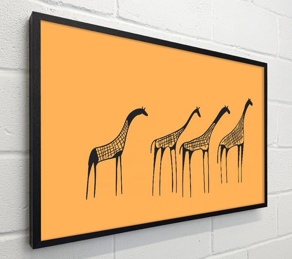 African Giraffe