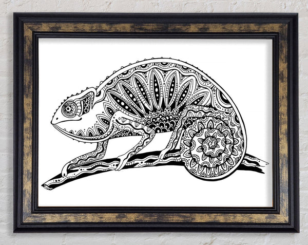 Mexican Lizard Framed Print