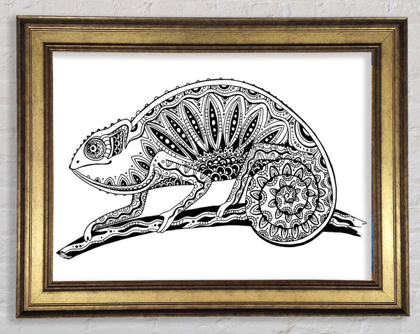 Mexican Lizard Framed Print