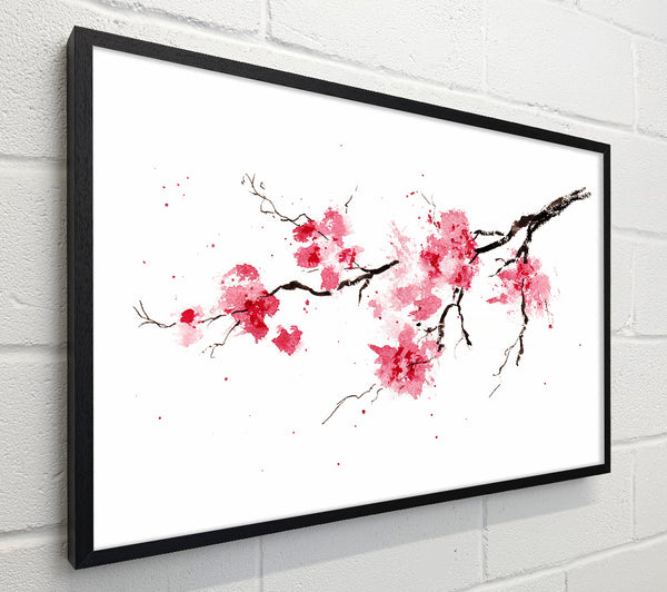 Chinese Cherry Blossom branch