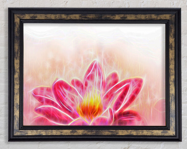 The Energy Of A Lotus Flower Framed Print