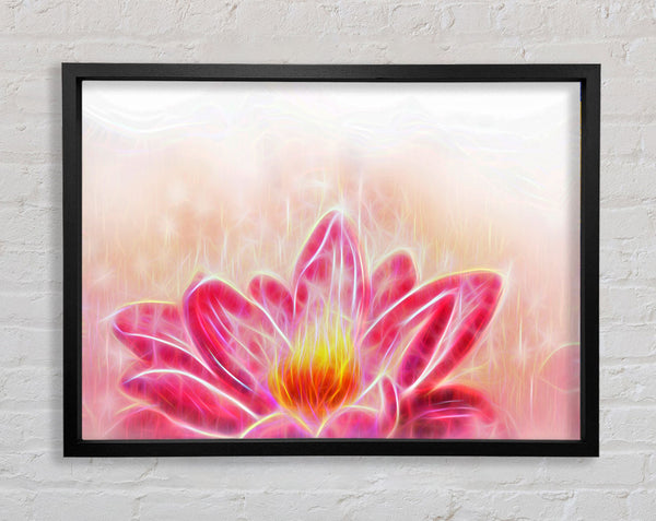 The Energy Of A Lotus Flower Framed Print
