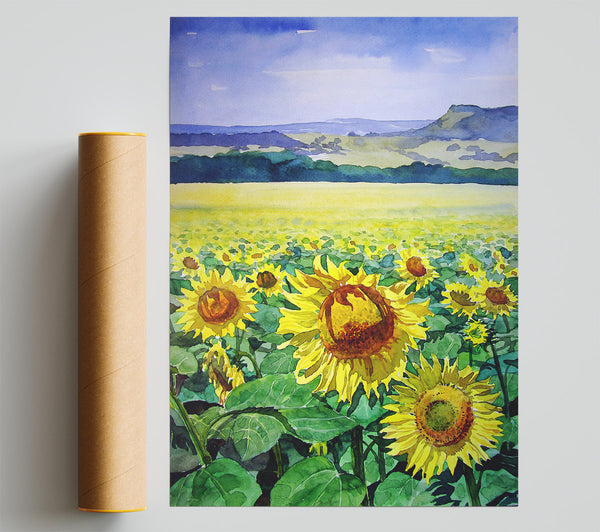 Sunflower Field Giclee Print