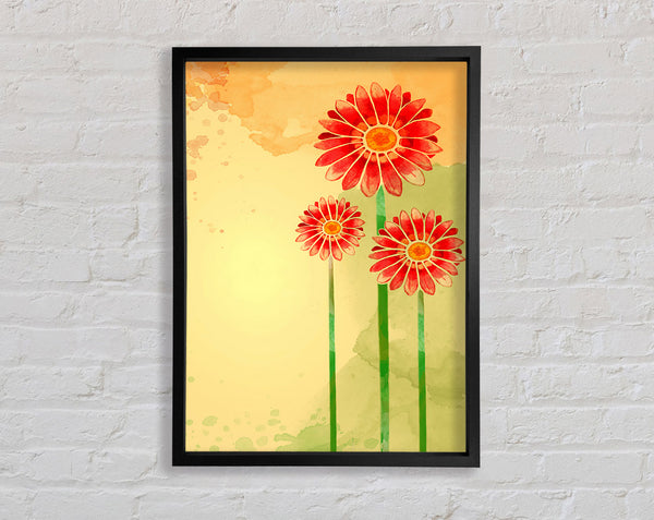 Trio Of Daisies Framed Print