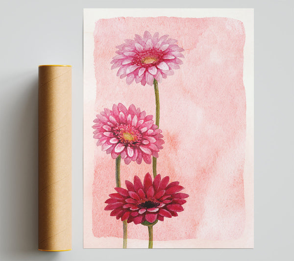 Gerbera Trio Print