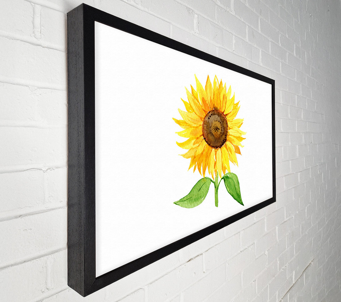  A Canvas Print of Single Sunflower Canvas Art