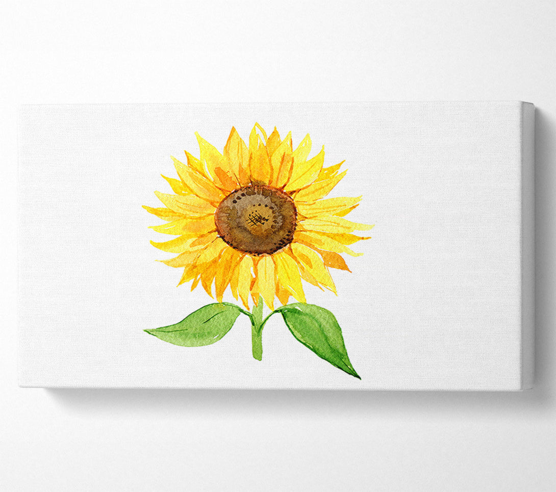  A Canvas Print of Single Sunflower Canvas Art