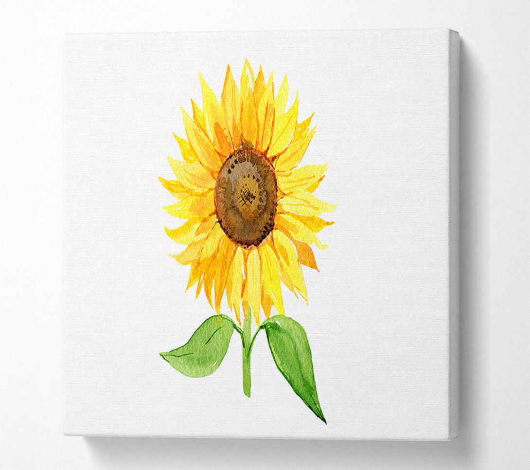  A Canvas Print of Single Sunflower Canvas Art