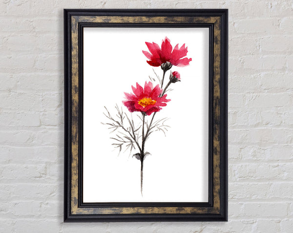 Pink Flower Spray Framed Print