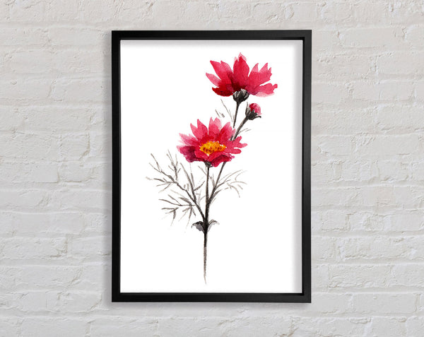 Pink Flower Spray Framed Print