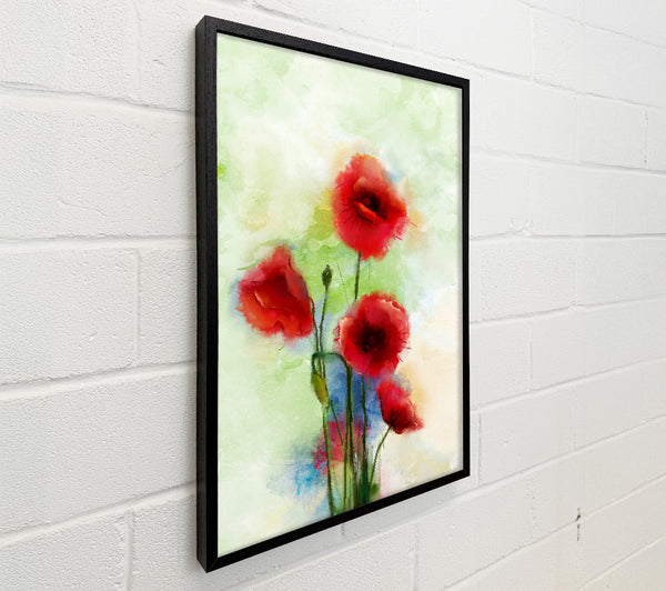 Red Poppies