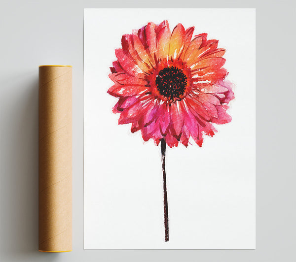 Gerbera Pinks Poster