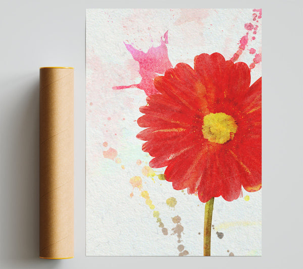 Gerbera Splash Giclee Print