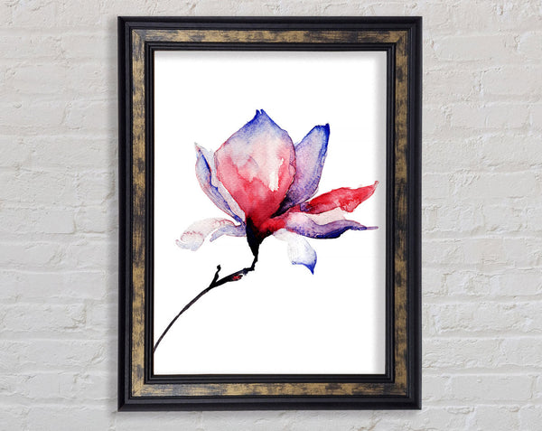 Just Before The Bloom Framed Print