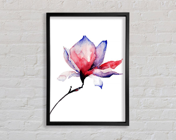 Just Before The Bloom Framed Print