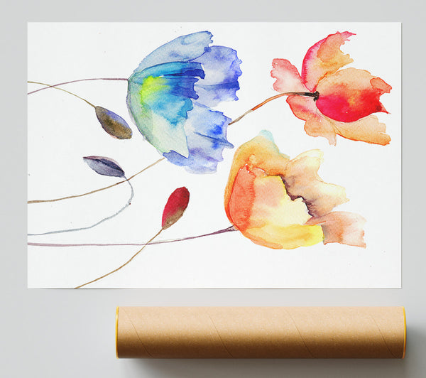 Poppy Watercolour Print