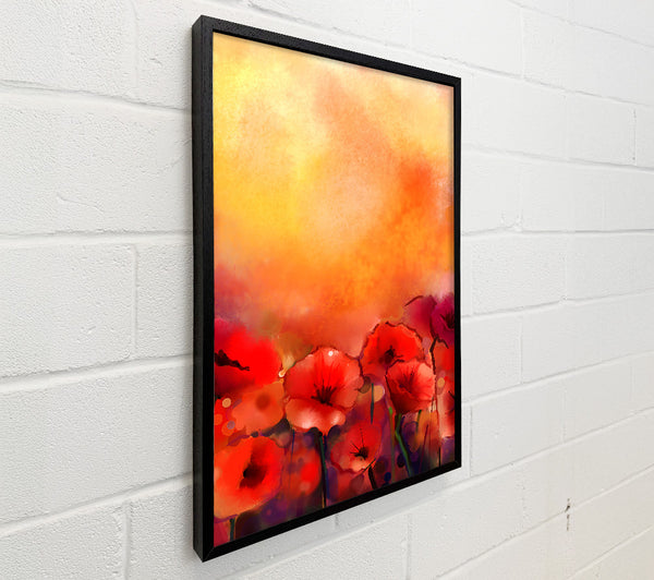 Poppy Dream