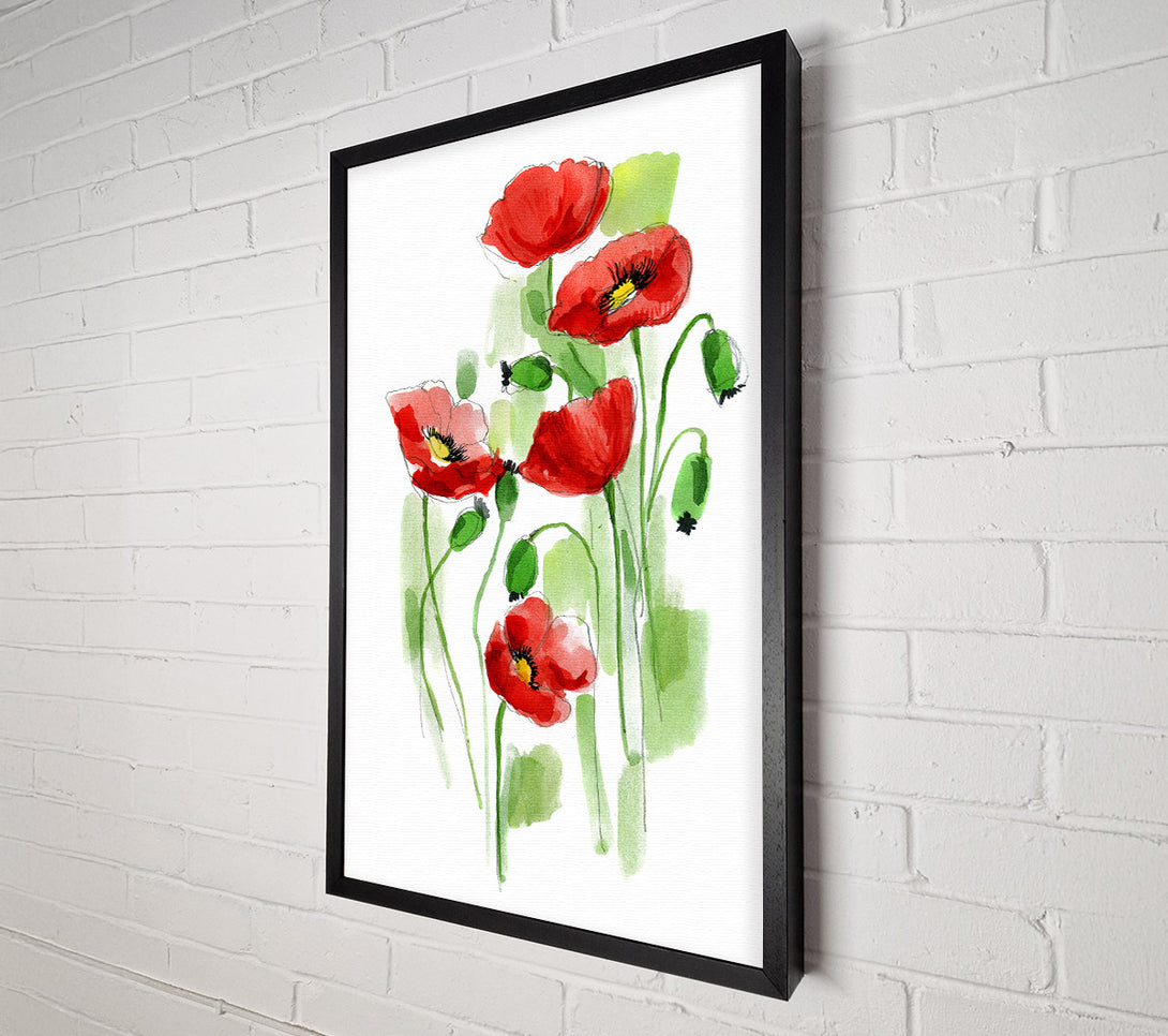  A Canvas Print of Poppies In Bloom Canvas Print