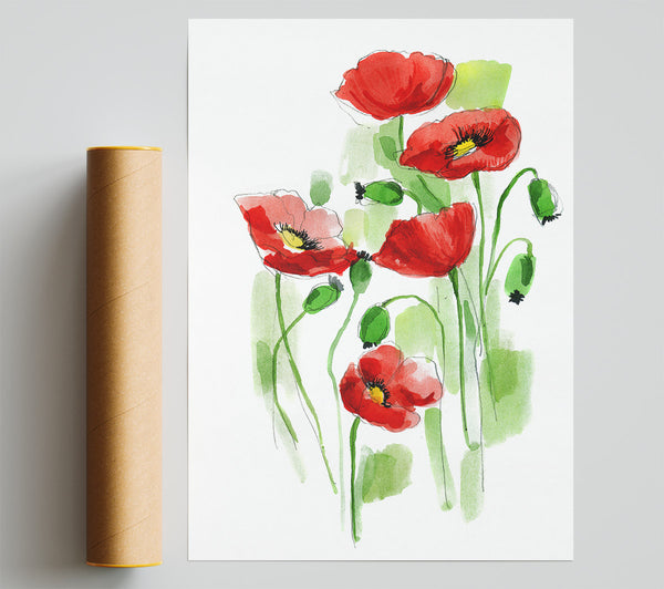 Poppies In Bloom Print