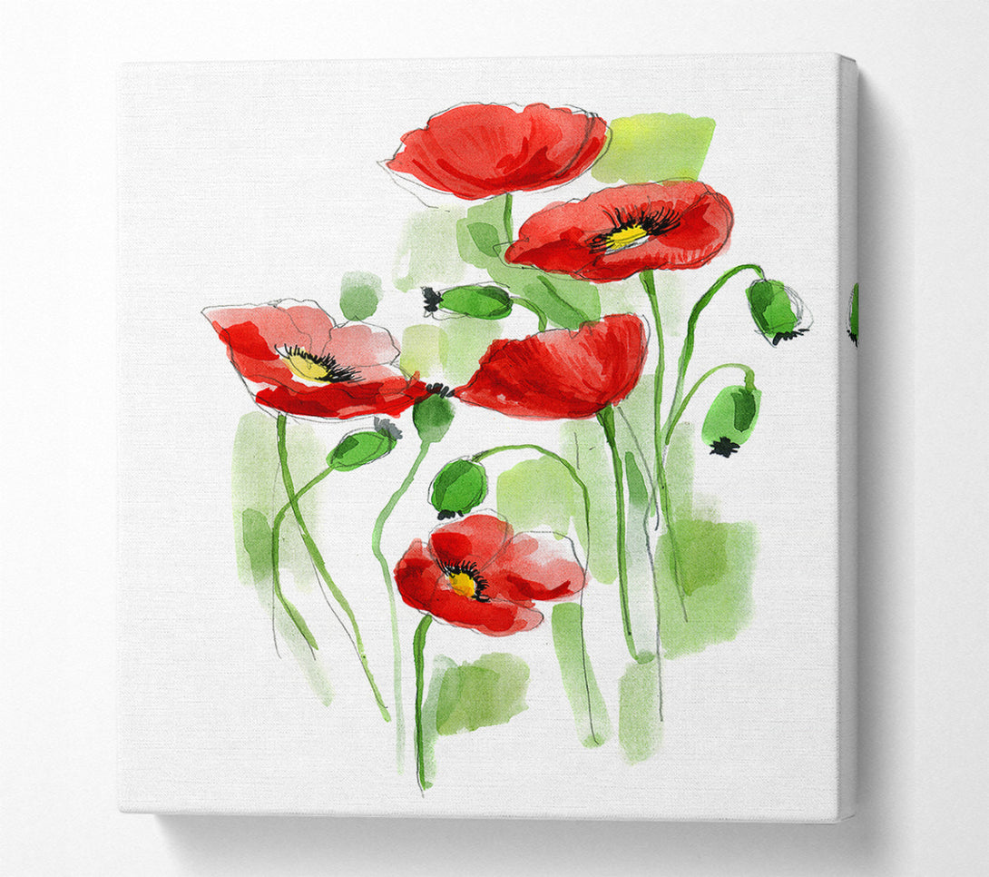  A Canvas Print of Poppies In Bloom Canvas Print