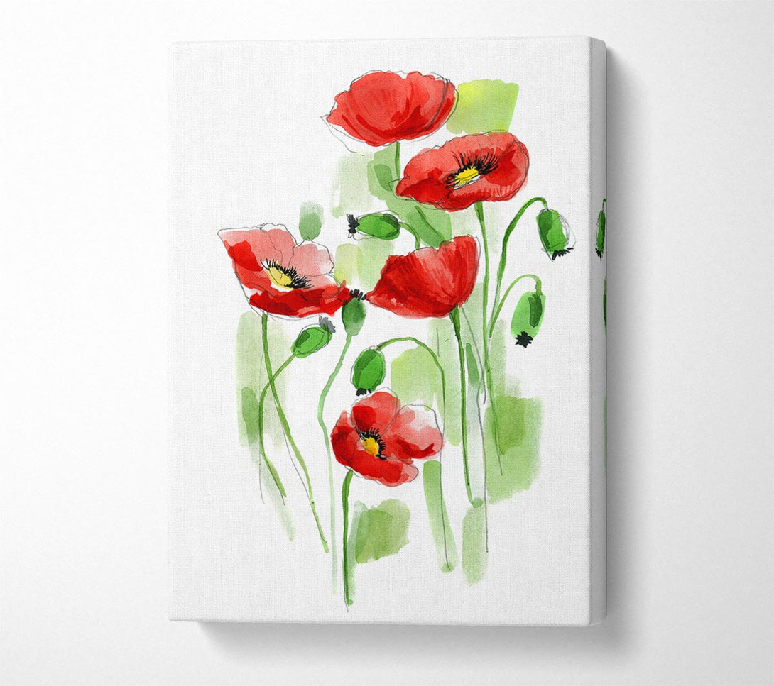  A Canvas Print of Poppies In Bloom Canvas Print