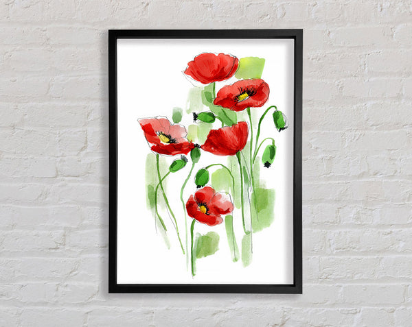 Poppies In Bloom Framed Print