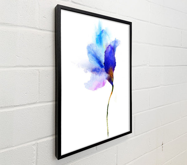 Gentle Petal Opening
