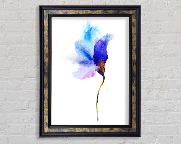 Gentle Petal Opening Framed Print