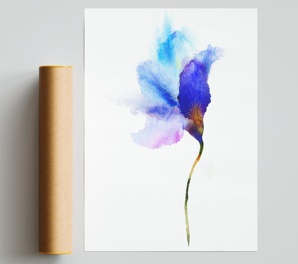 Gentle Petal Opening Giclee Print