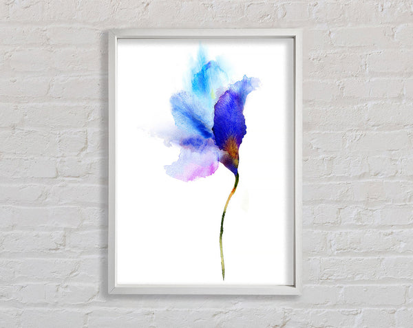 Gentle Petal Opening Framed Print