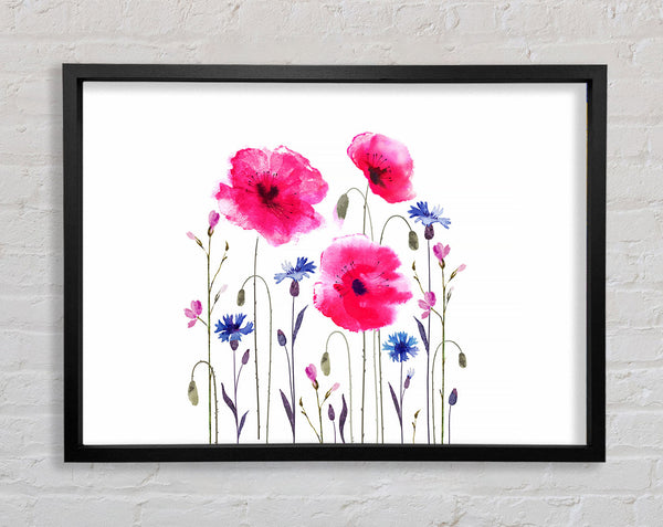 Pink Poppy Abstract Framed Print
