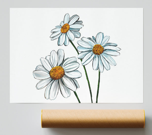 White Daisy Trio Poster