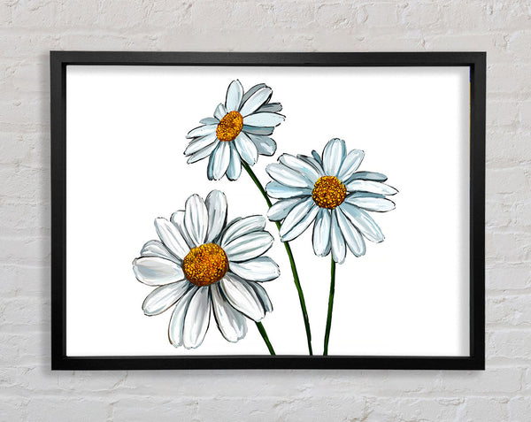 White Daisy Trio Framed Print