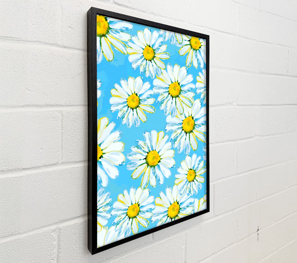 Daisy Blues