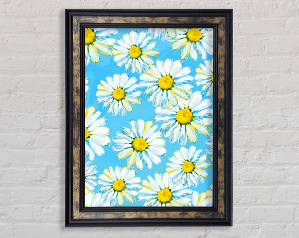 Daisy Blues Framed Print