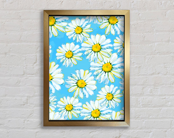 Daisy Blues Framed Print