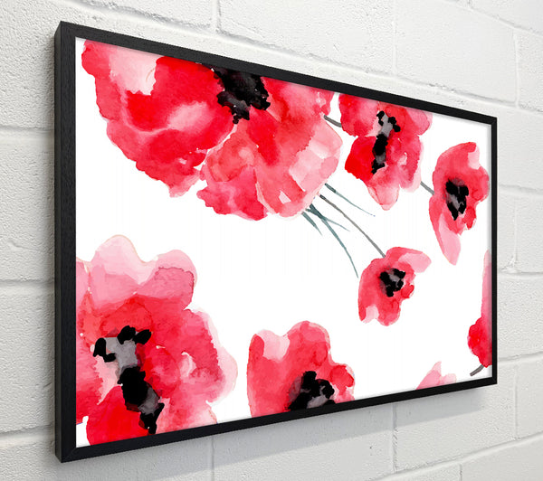 Just Poppies