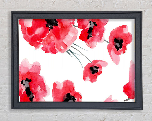 Just Poppies Framed Print