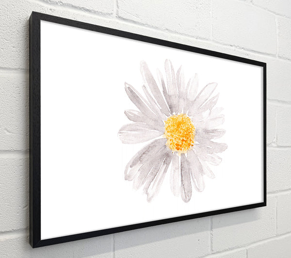 Grey Petal Beauty