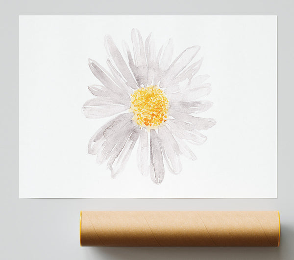 Grey Petal Beauty Giclee Print
