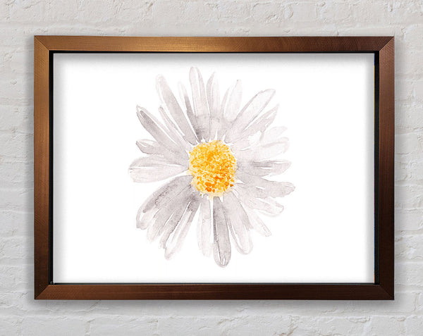 Grey Petal Beauty Framed Print