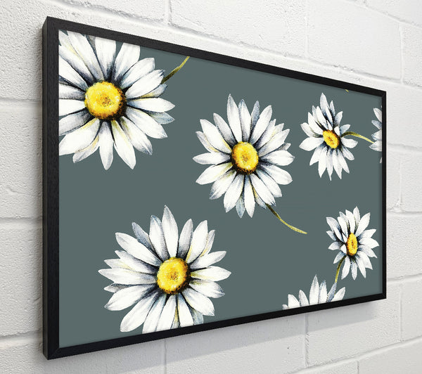 Aster Beauty