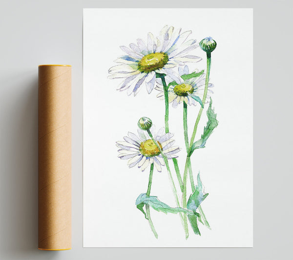 Daisy Center Poster