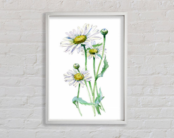 Daisy-Zentrum