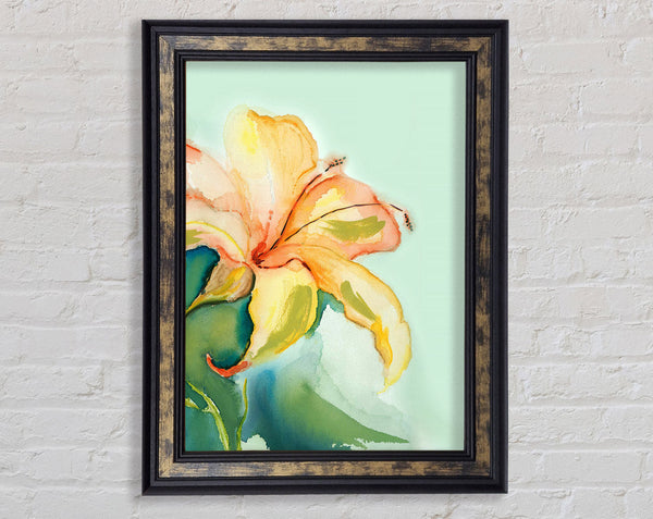 Single Lily Framed Print