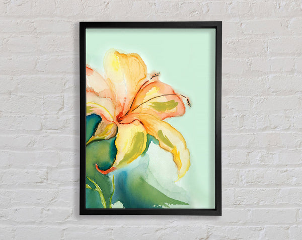 Single Lily Framed Print