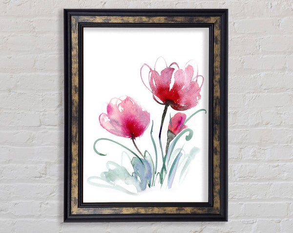 Trio Of Poppies Opening Framed Print