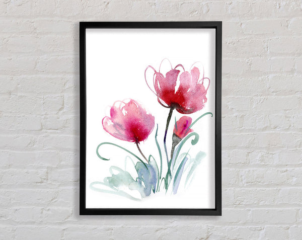 Trio Of Poppies Opening Framed Print